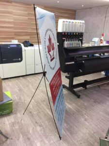 Roller Banner - 图片 4